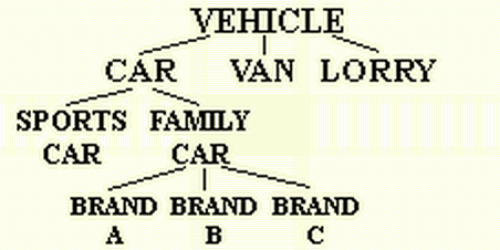vehicle taxonomy illustration