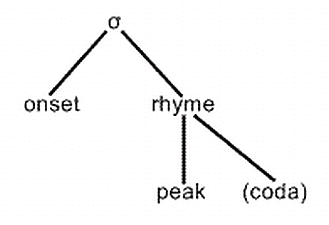 syllable structure